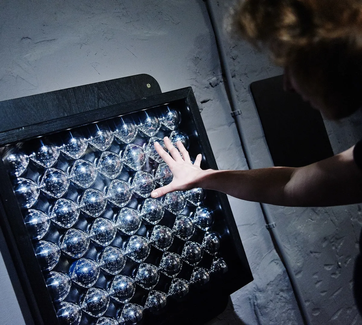 Афиша трансляции Зачем человеку смерть, а палеонтологу – мозг динозавра