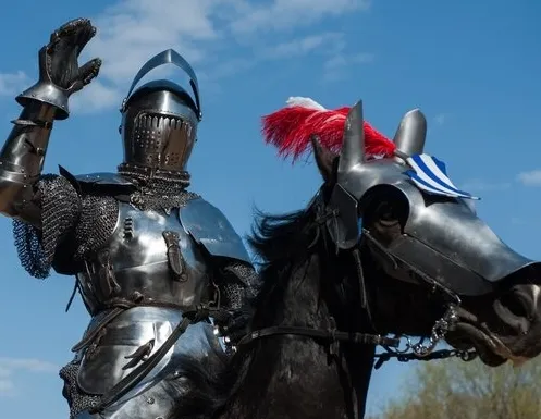 Афиша трансляции Рыцарский турнир в честь Дня защитника Отечества