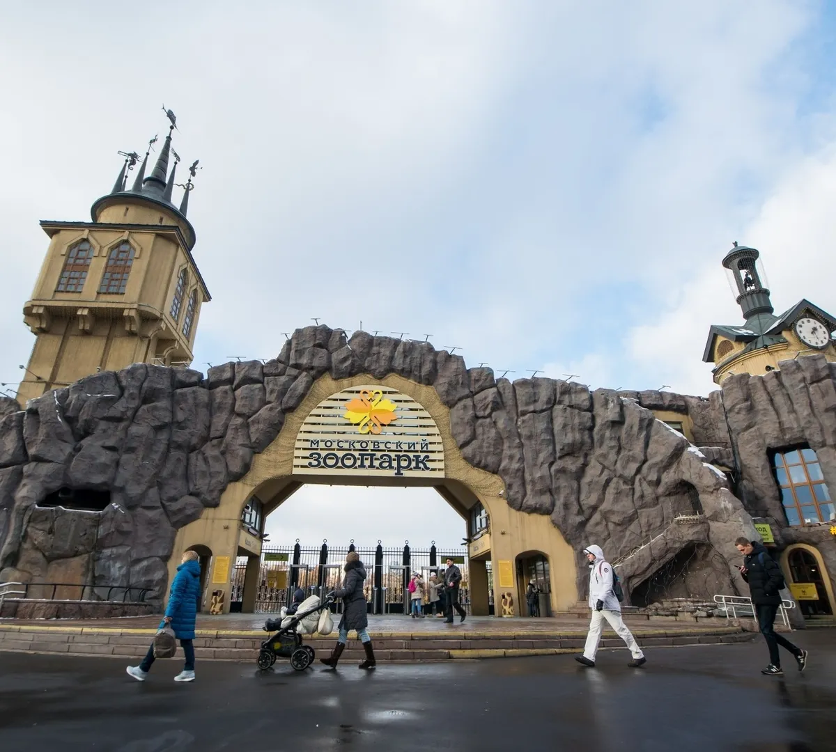 Афиша трансляции Столичные медведи вышли из зимней спячки