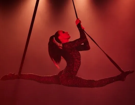 Афиша трансляции Фестиваль воздушных гимнастов "Трапеция"