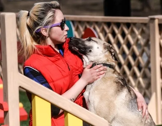 Афиша трансляции Проект "Четвероногий друг. Доброта. Забота. Помощь"