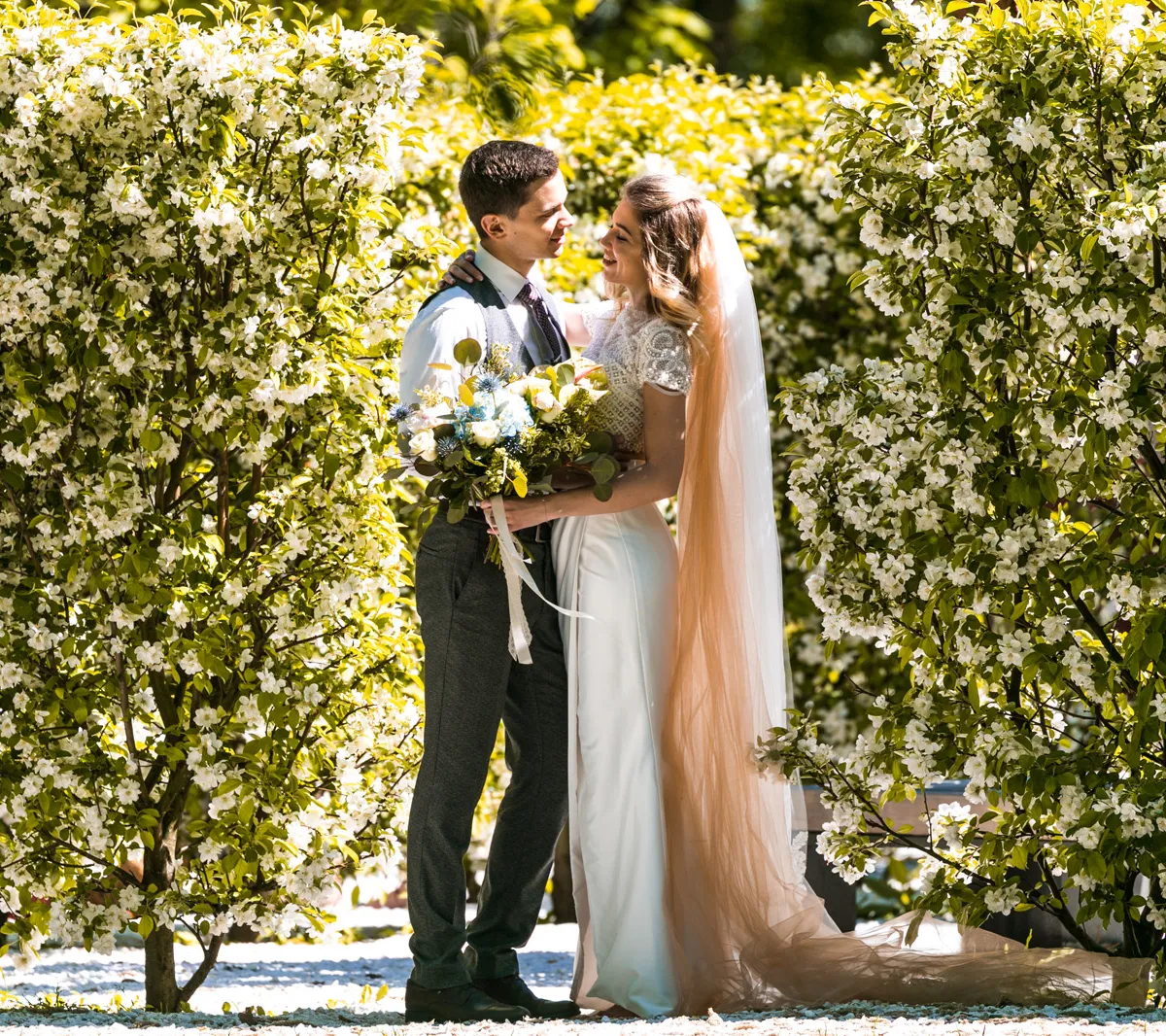 Афиша трансляции Влюбленные посадили первые деревья в "Саду молодоженов"