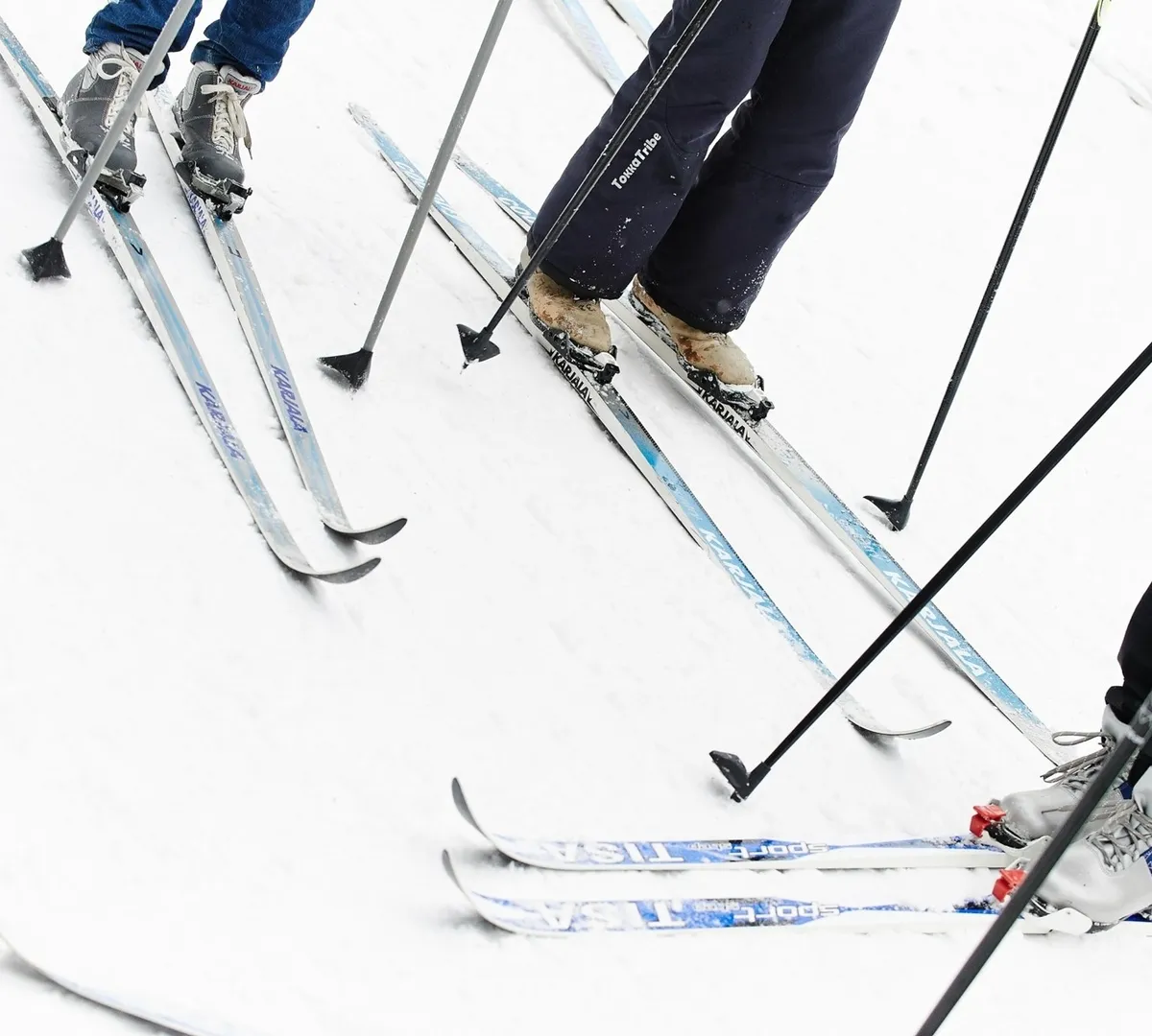 Афиша трансляции Мастер-класс по катанию на лыжах