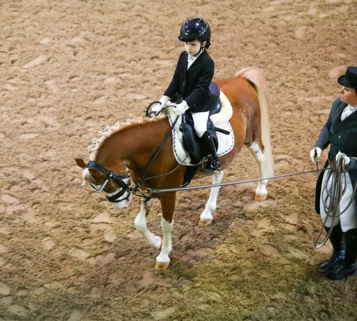 Афиша трансляции Всероссийские соревнования по пони-спорту