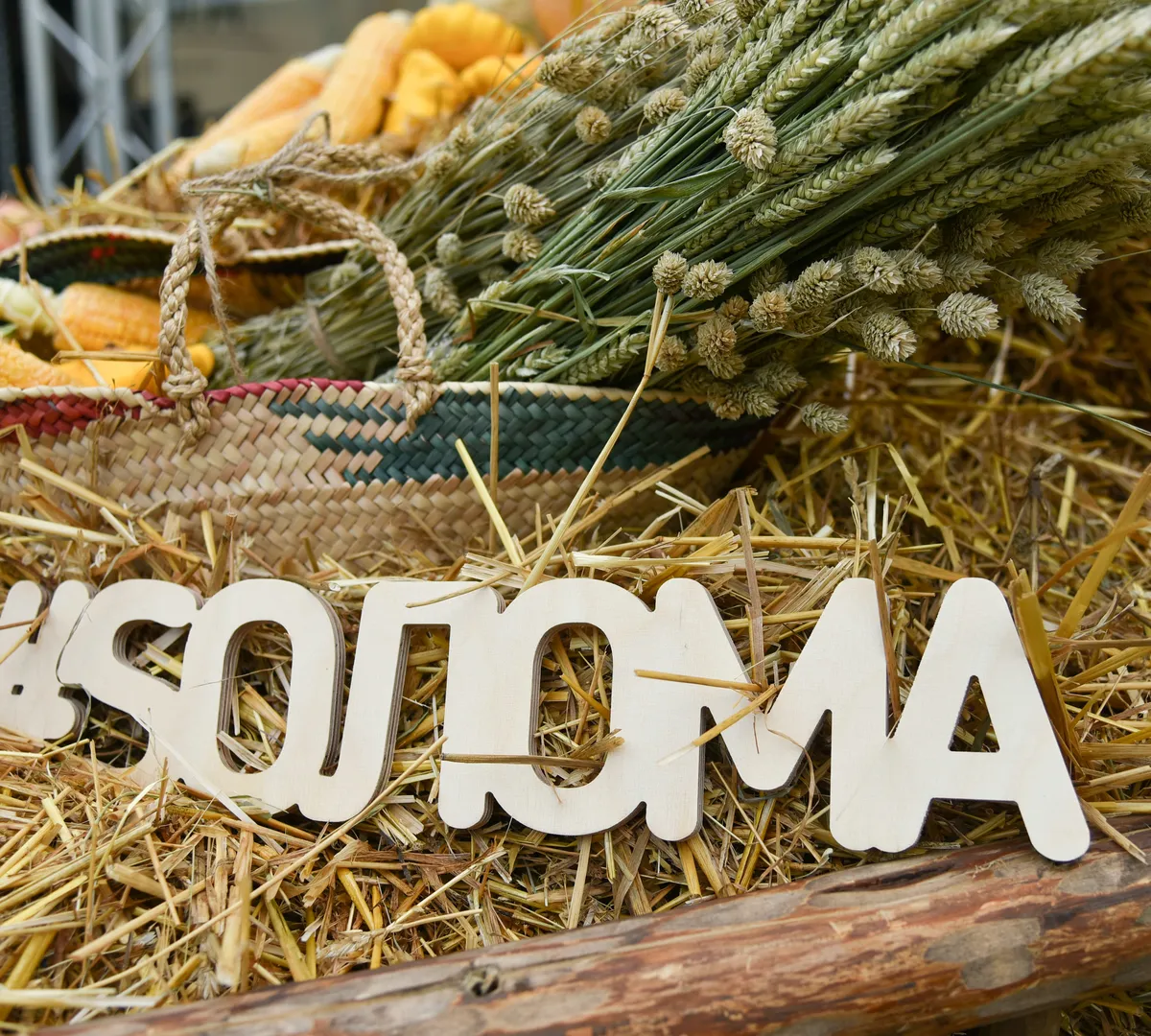 Афиша трансляции New Life Brass и Антон Лаврентьев на фестивале "Sолома"