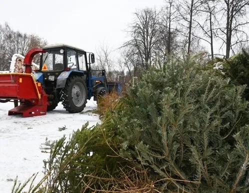 Афиша трансляции Как перерабатываются новогодние елки