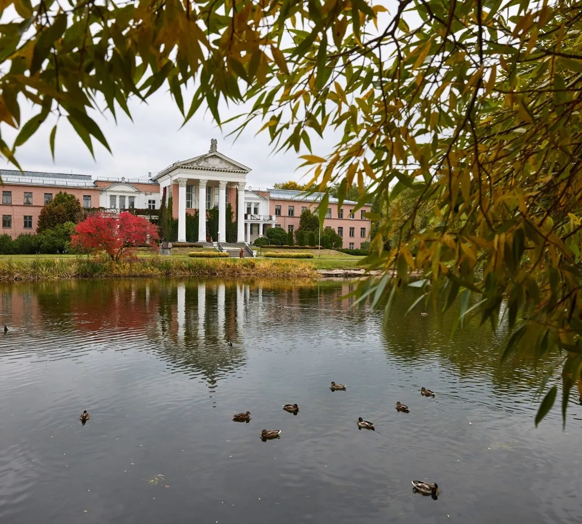 Афиша трансляции Дадим прогноз погоды на вторую половину осени