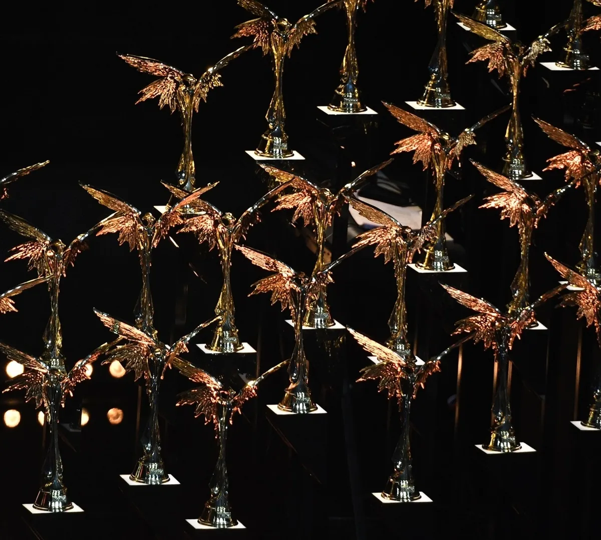 Афиша трансляции Национальная премия кинематографических искусств "Ника"