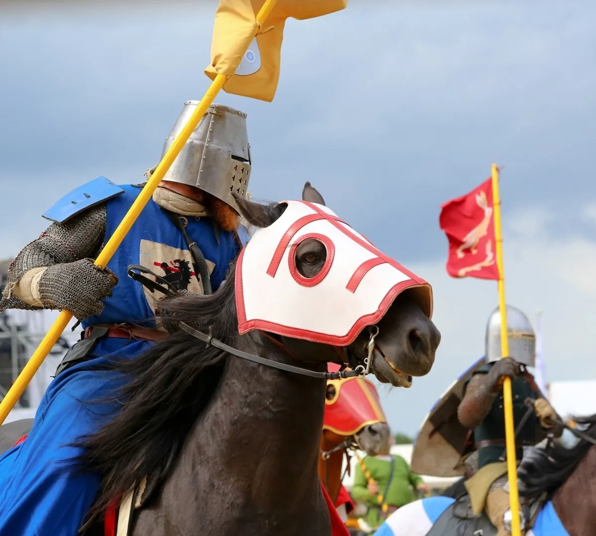 Афиша трансляции Рейтарское многоборье на фестивале "Иваново поле"