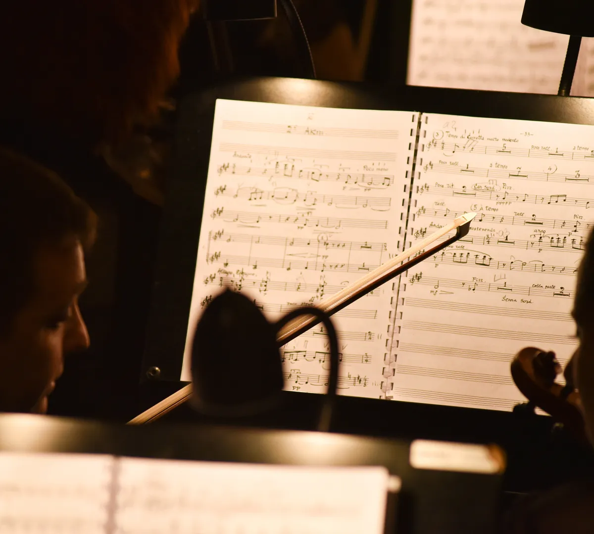 Афиша трансляции Бал цветов под музыку эпохи барокко