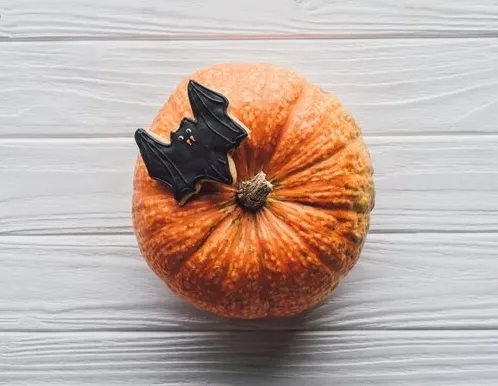 Афиша трансляции Как расписать хеллоуинскую тыкву