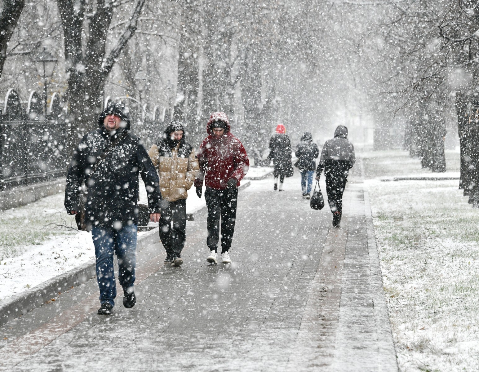 Погода снежков. Снег в Москве. Снегопад в городе. Снегопад в Москве. Москва зима снегопад.